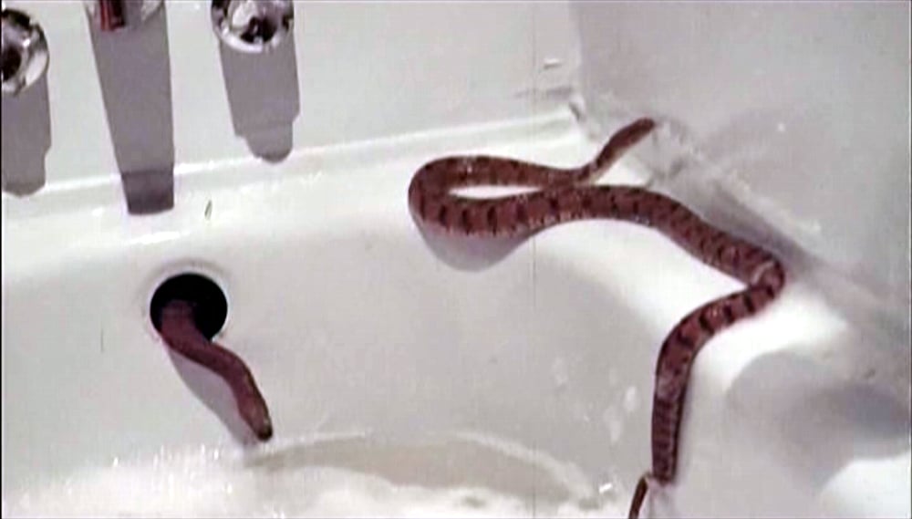 Rattlers (1976)