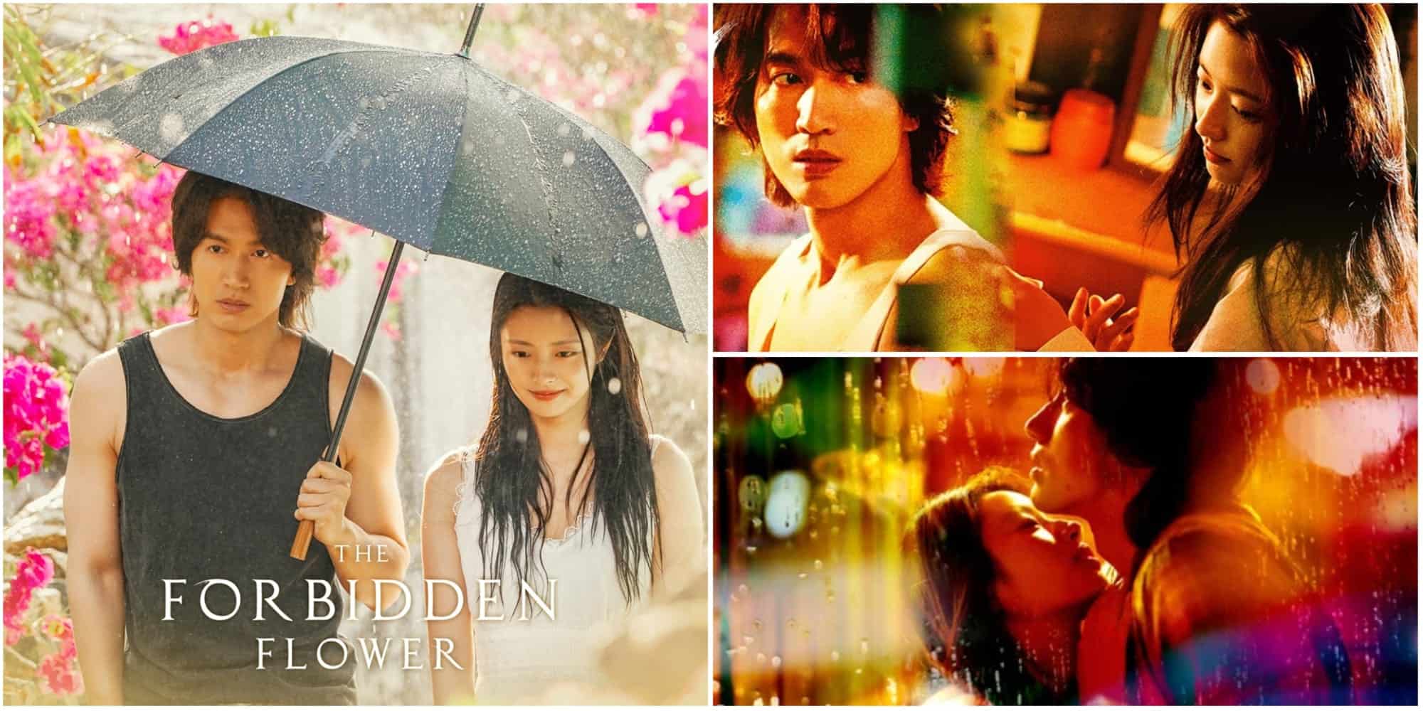 The Forbidden Flower Chinese Romance Drama Streaming Guide