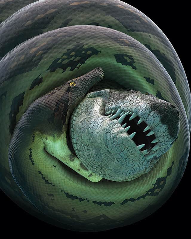 Titanoboa: Monster Snake