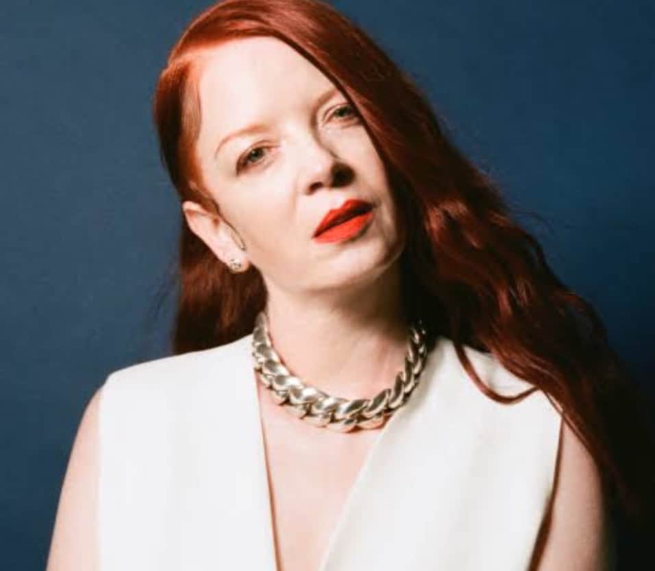 Shirley Manson's Divorce