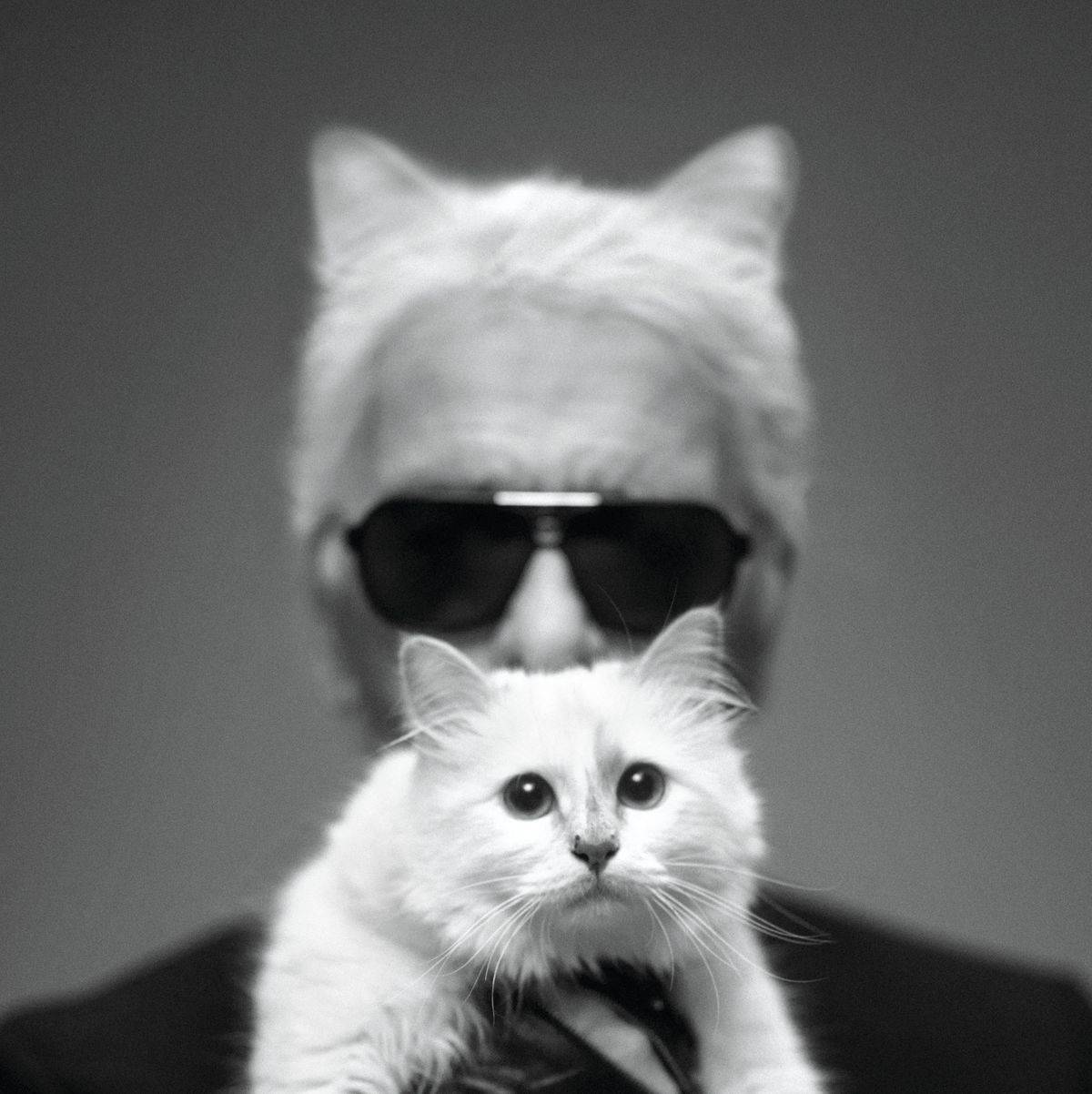 Karl Lagerfeld's Cat Choupette 