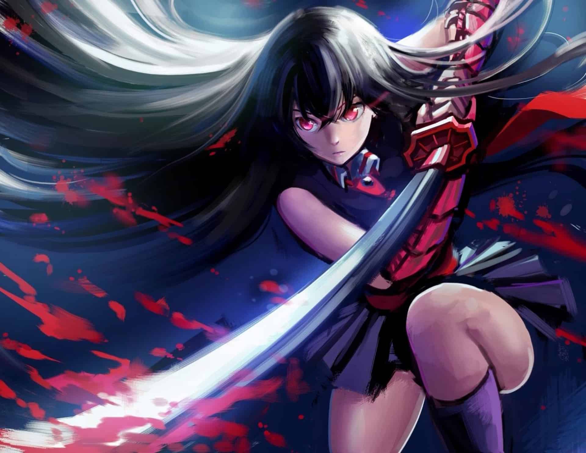 Akame Ga Kill