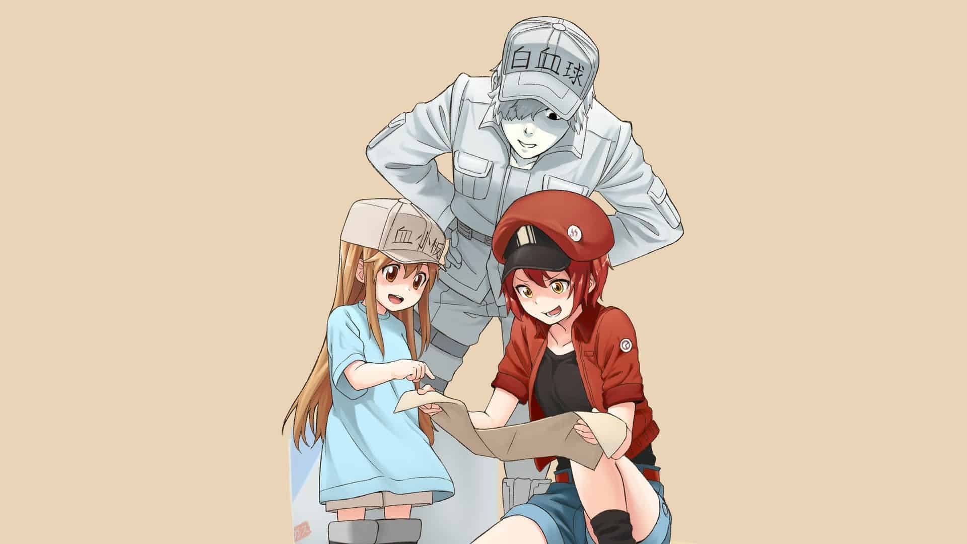 Cells at Work!