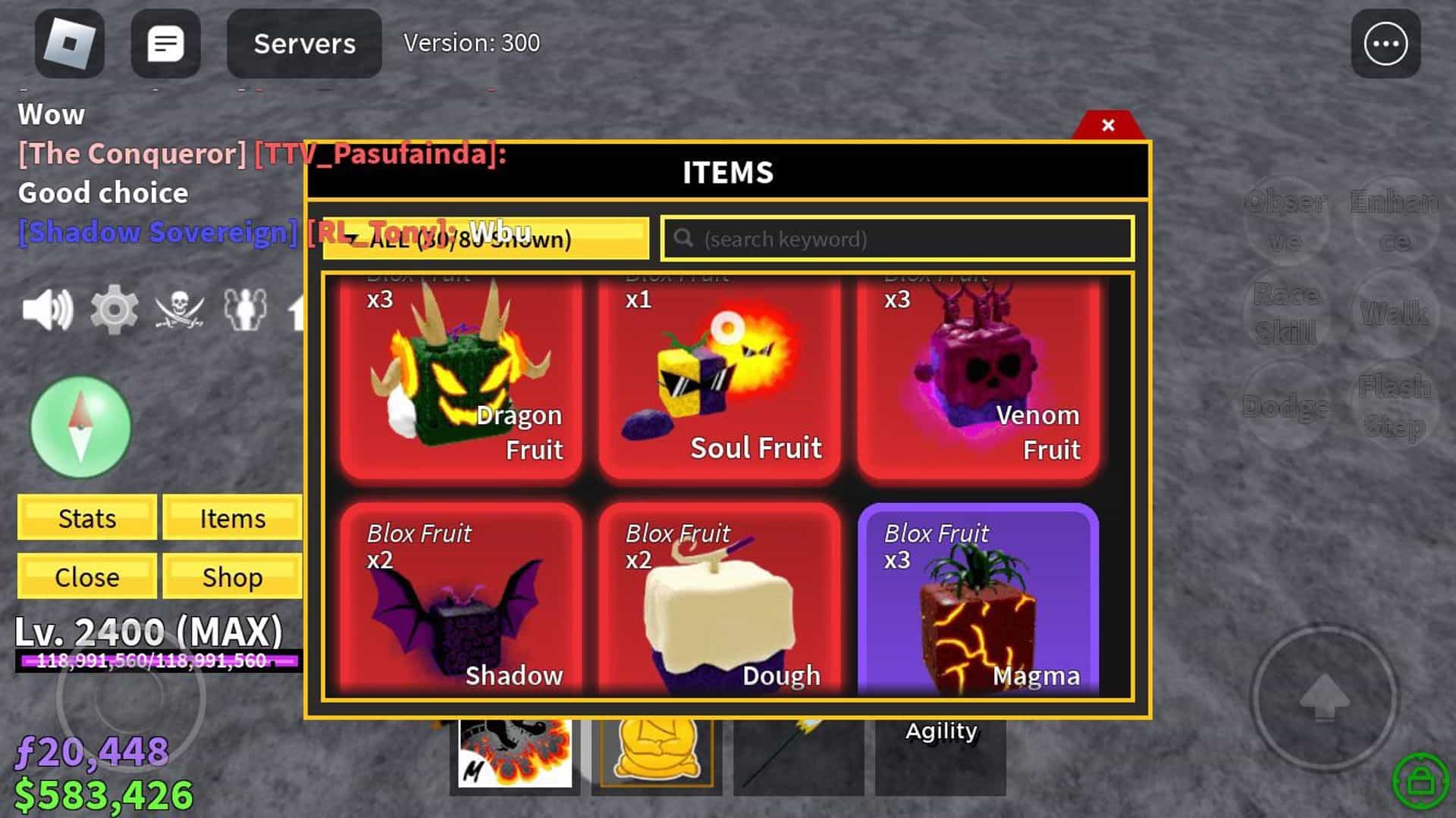 Screenshot of Items Page in Blox Fruits