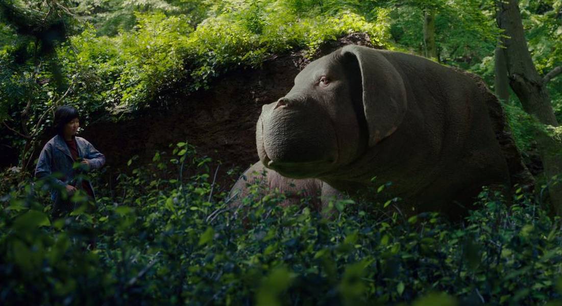 Okja standing in a field facing a young girl