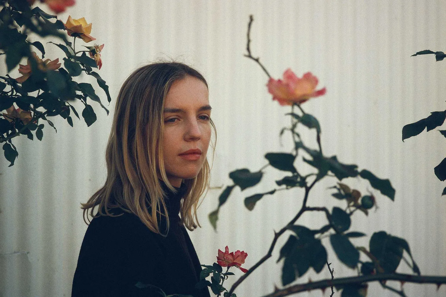 The Japanese House