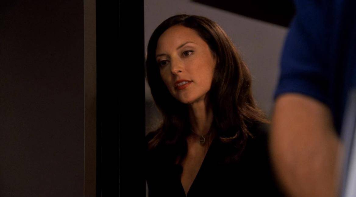 Lola Glaudini as Elle Greenaway on CBS's Criminal Minds