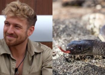 I'm A Celebrity ... Get Me Out Of Here! rangers have been forced to enter the camp after a venomous snake