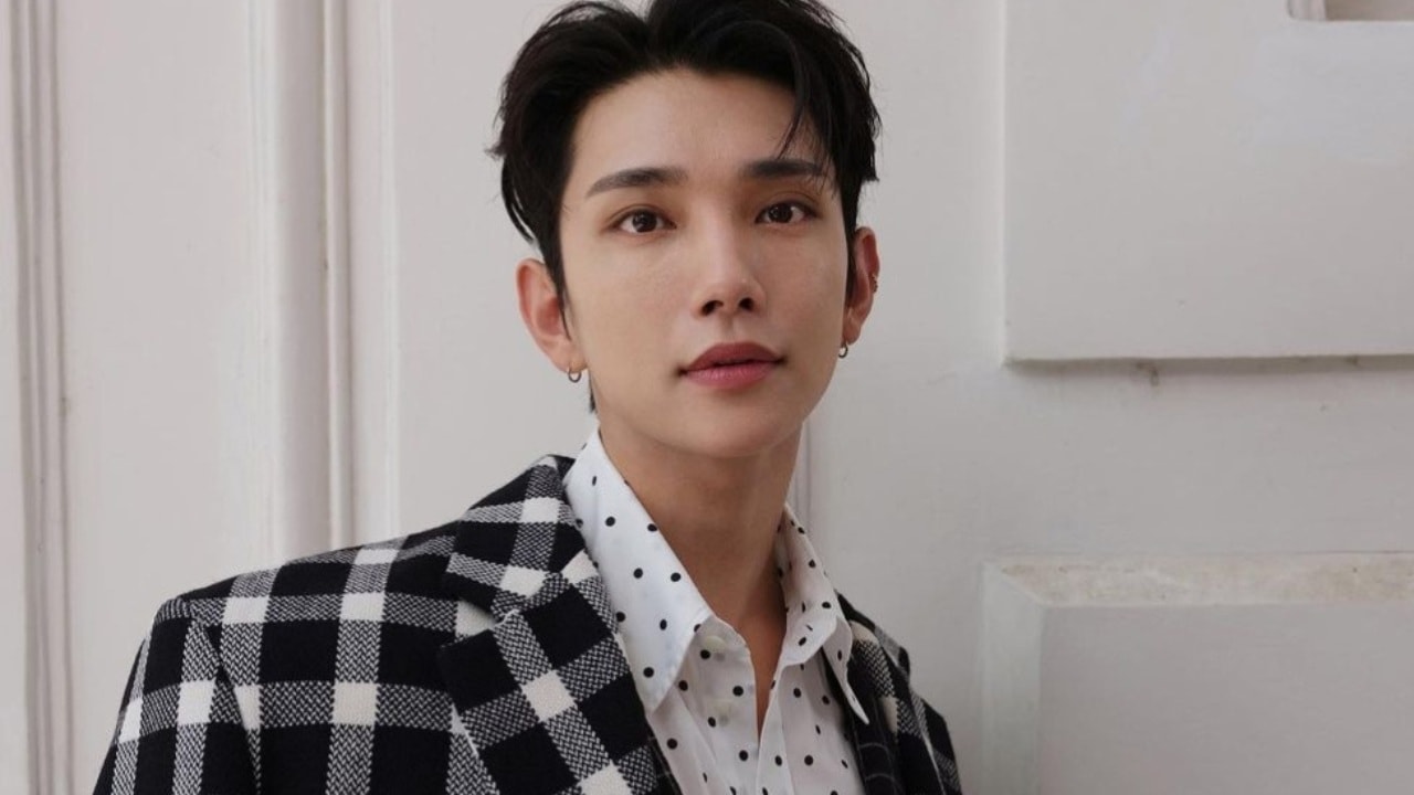 Seventeen Member Joshua's Rumored Girlfriend Sparked Pregnancy Rumors