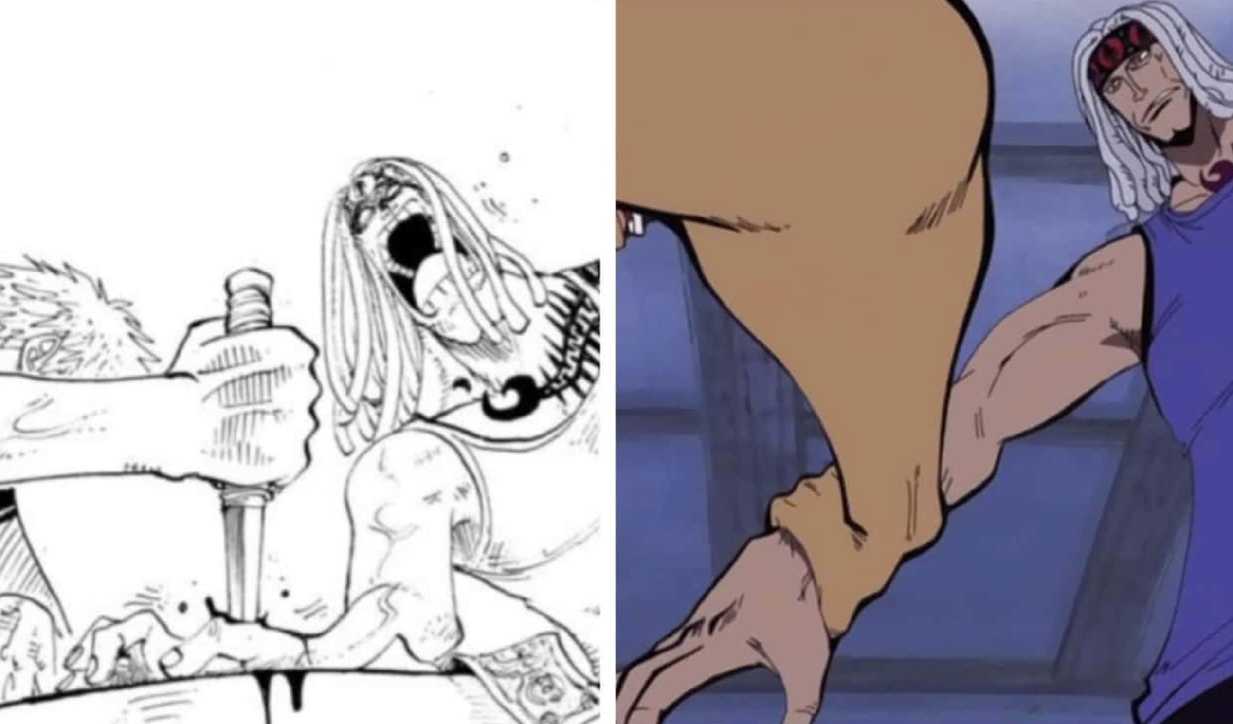 15 Shocking 'One Piece' Scenes Too Intense for the Anime