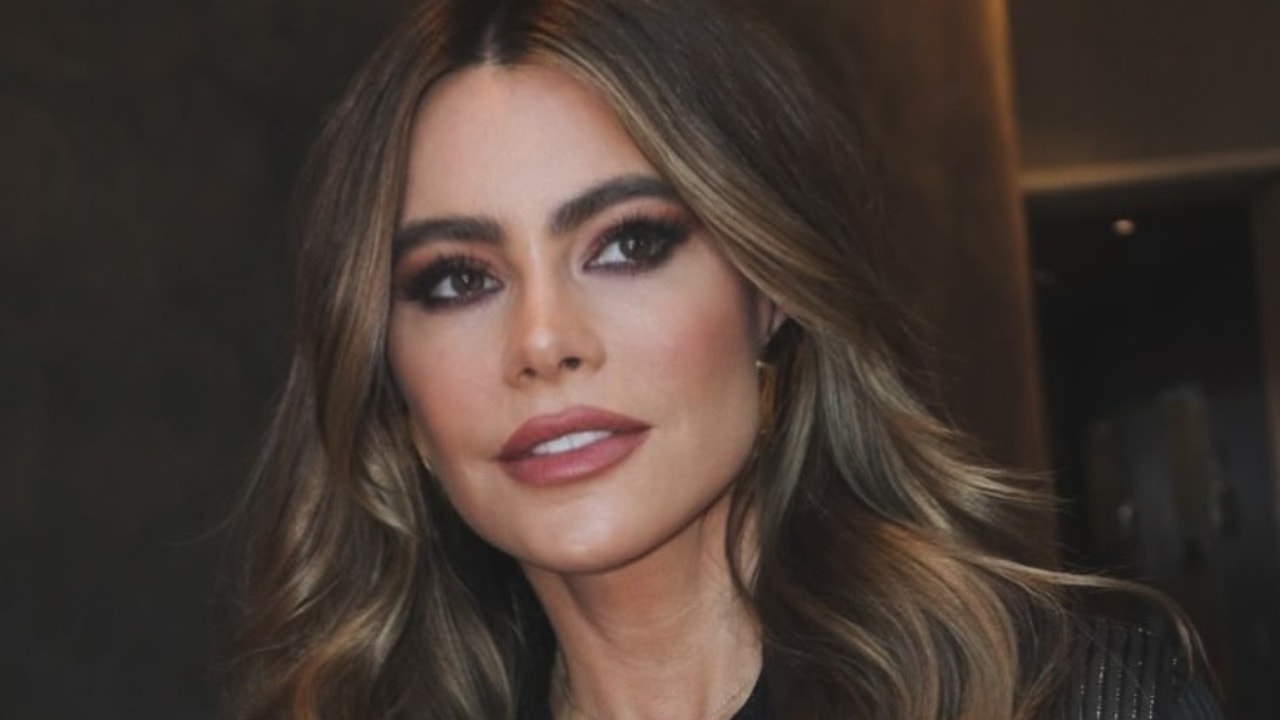 Who Is Sofia Vergara Dating Now?
