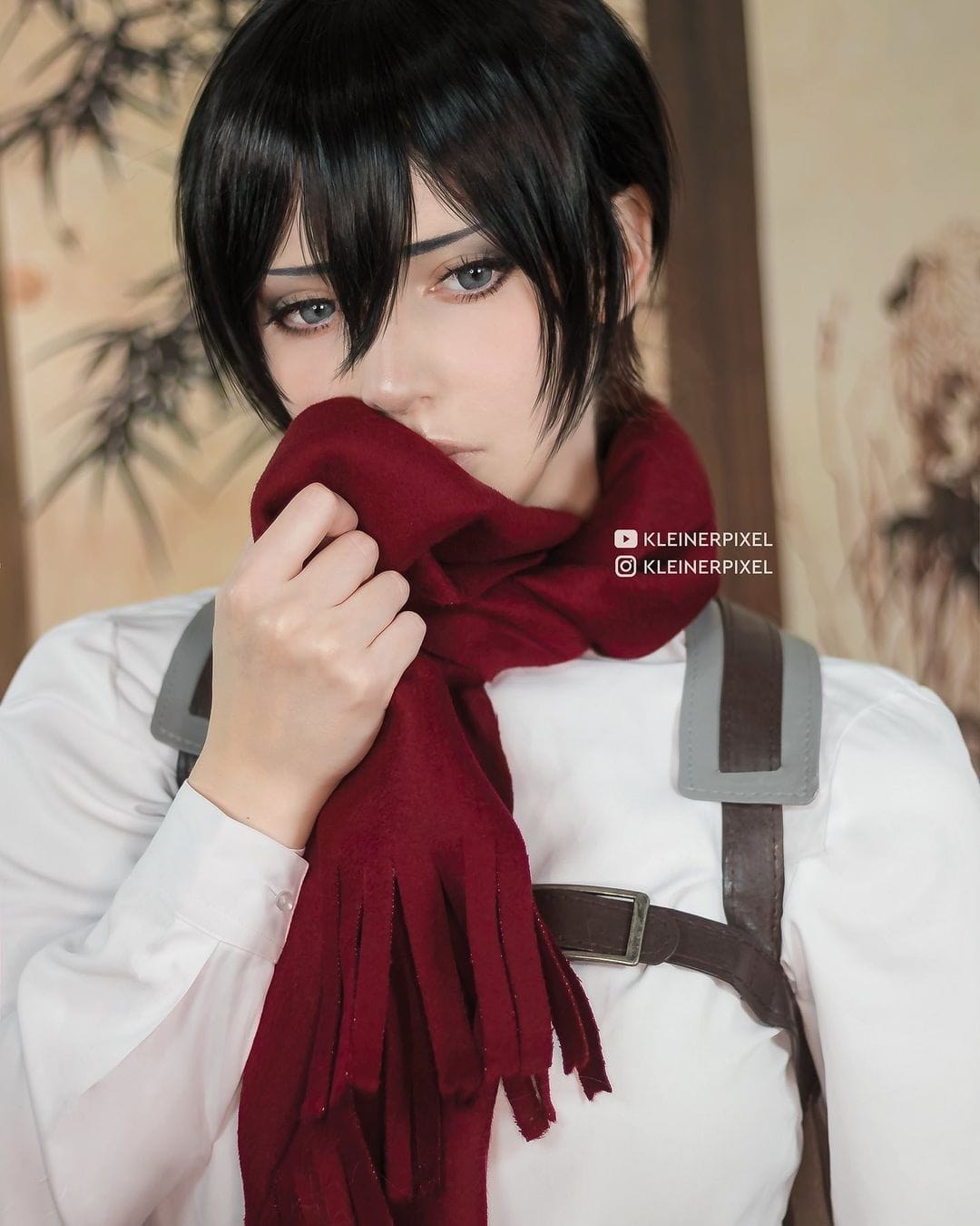 Mikasa Cosplay from Attack On Titan