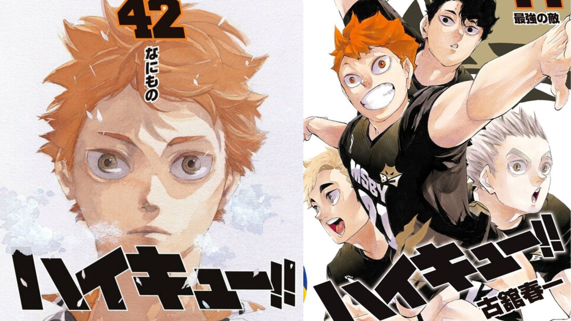 Haikyu!! Manga