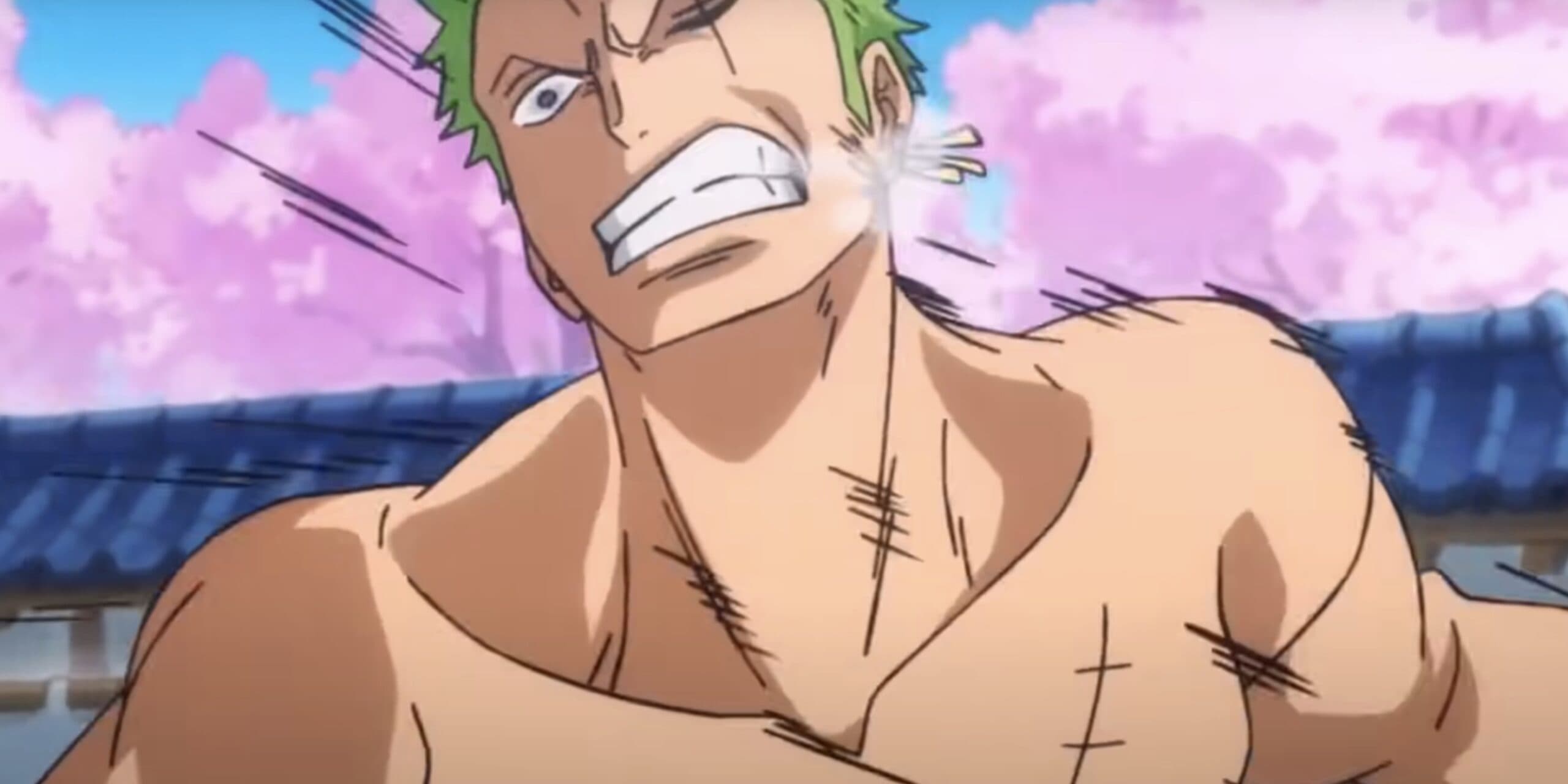 Zoro Before And After Timeskip