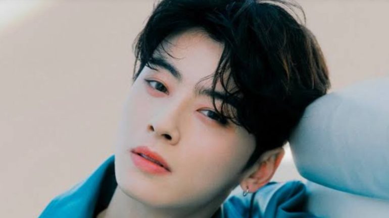 Anticipation Builds: Cha Eun Woo's Brother Tipped For Acting Debut