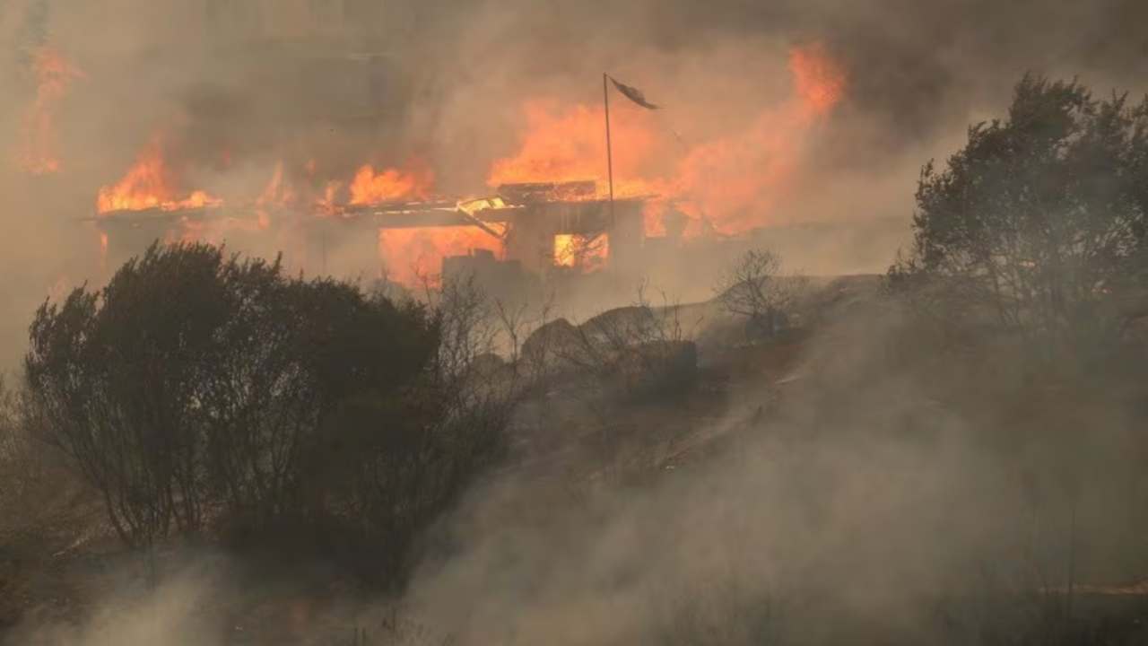 Tragedy Unfolds: Chile Grapples With Deadliest Forest Fires Since 2010 Earthquake