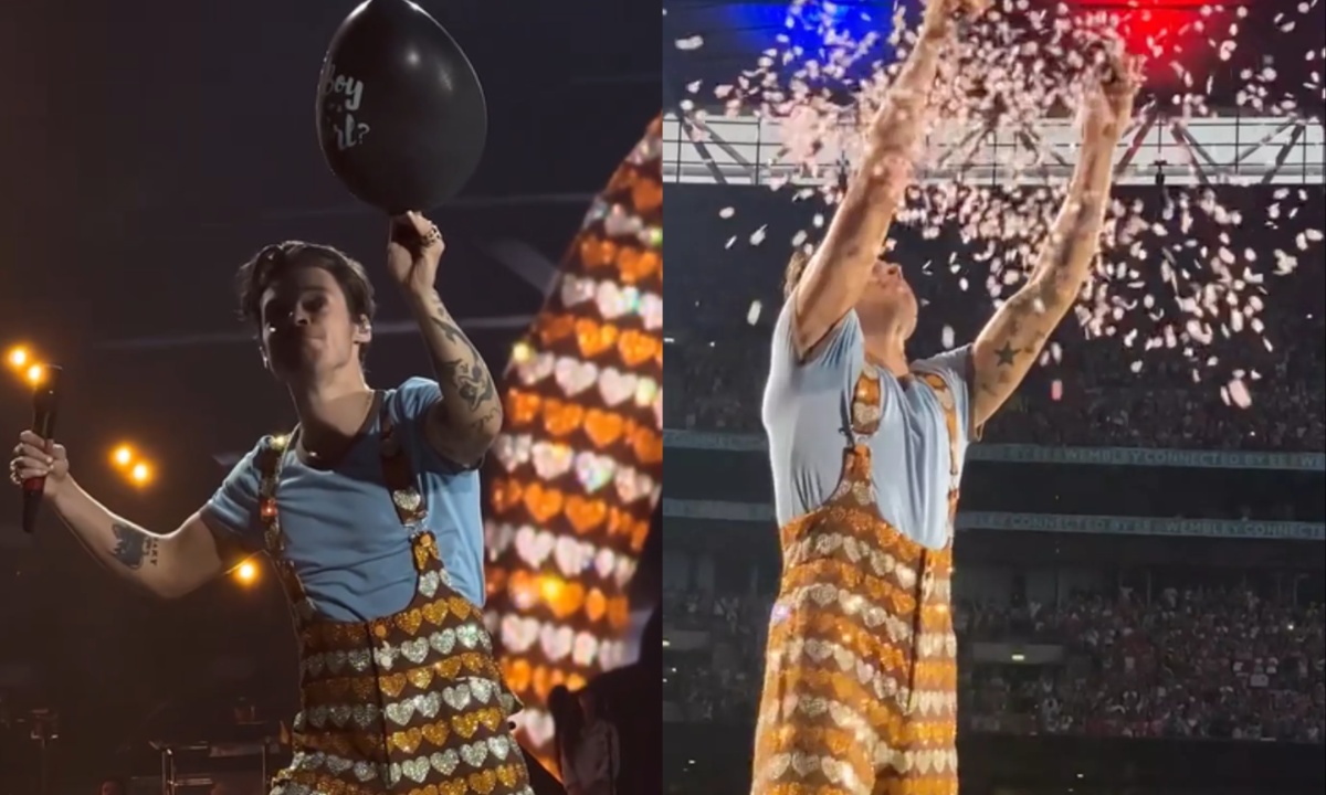 Fan Reflects on Harry Styles’ Impactful Gender Reveal at Love on Tour Concert One Year Later